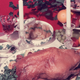 Image for article titled Worst Holiday Desserts Ranked, According to an Expert